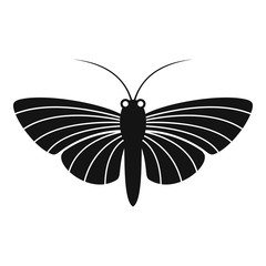 Butterfly with small wings icon. Simple illustration of butterfly with small wings vector icon for web