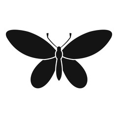 Butterfly with antennae icon. Simple illustration of butterfly with antennae vector icon for web