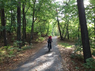 Fototapeta premium Radfahren auf Fischland-Darß