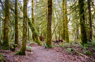 Crescent Lake, Olympic National Park