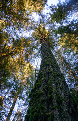 Crescent Lake, Olympic National Park