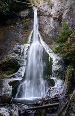 Fototapeta na wymiar Marymere Falls, Olympic National Park