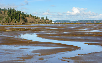 Billy Frank Jr. Nisqually National Wildlife Refuge