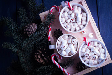 Three cup of hot chocolate or cocoa with smiling marshmallows and candy cane in the wooden box on wood table. Christmas Composition with winter tree and cone. Winter Concept, Cozy Time. Top view