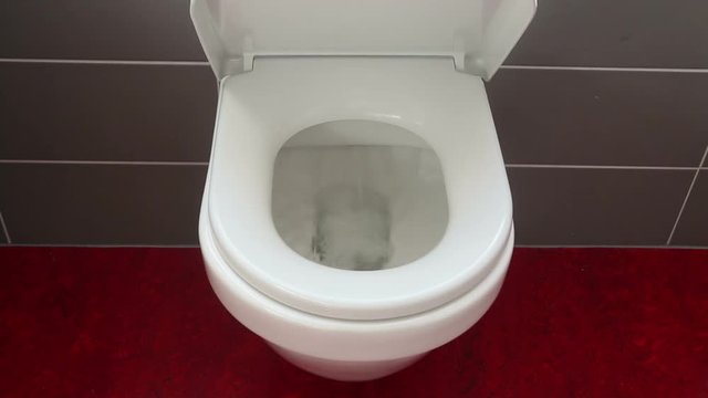 flushing toilet bowl with lid cover closing automatically