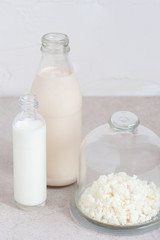 Obraz na płótnie Canvas Fresh dairy products on the table