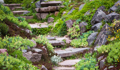 Stony stairs in the green garden