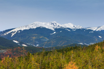 Autumn landscape in the mountains. Colorful trees on the slopes. View of first snow on the peaks.