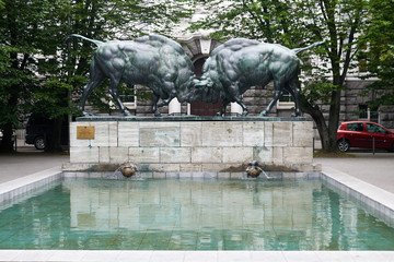 Bronze sculpture "struggling bisons" A. Gaul 1911. opposite technical University,Kaliningrad