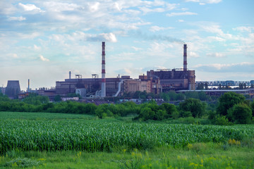 emissions to the atmosphere pipes of metallurgical plant among the sown corn field