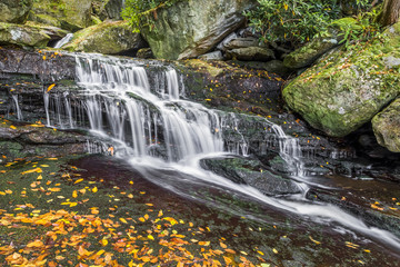 Waterfall on Shays Run, Blackwater Canyon, West Virginia