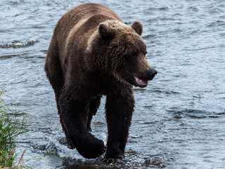 Obraz premium OLYMPUS DIGITAL CAMERA