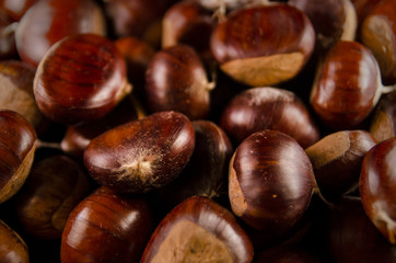 Group of chestnuts illuminated by a light side. Dark background. Autumn background.