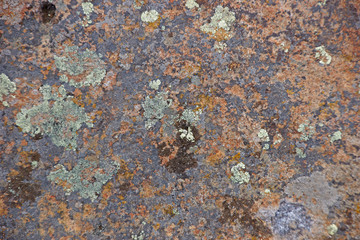Details, brightly colored lichen on volcanic boulde