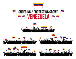 Cheering or Protesting Crowd Venezuela