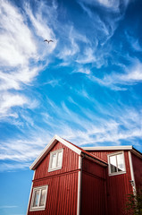 Rotes Haus vor weitem Himmel mit Möwe