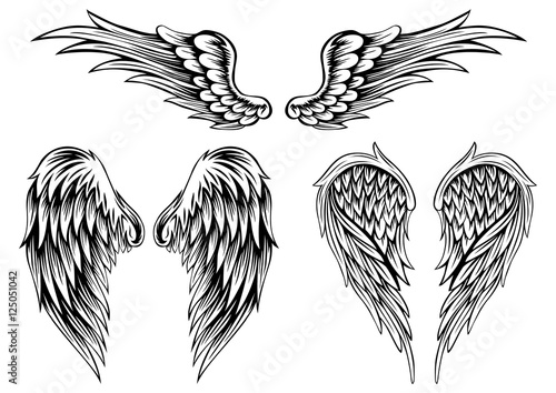 wings stock image and royalty free vector files on fotolia com