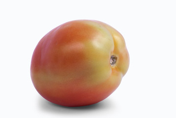 fresh red and green mini tomato