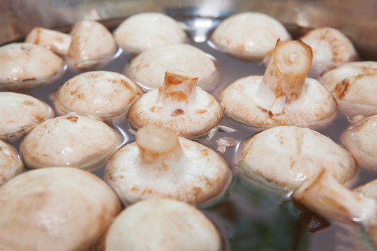 raw mushrooms in water