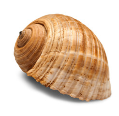 Shell isolated