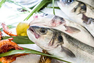 whole fresh fishes are offered in the fish market