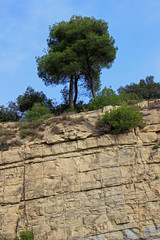 Pared de piedra de granito