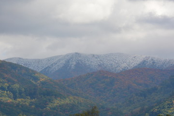 Fototapeta premium Frost and Ice up high