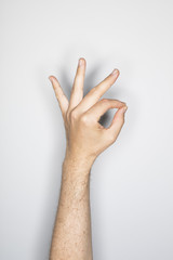 hand gesture of a caucasian male