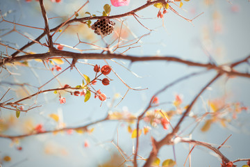 Floral
