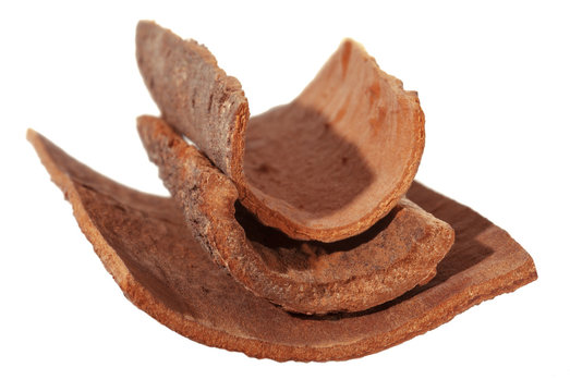 Cinnamon bark. Natural Dalchini. Isolated from white background. Soft focus.