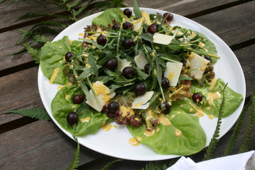 organisch, lifestyle, rauke, urban, rucola, salat, kurkuma, curry, senf, dressing, trauben, gesund,...