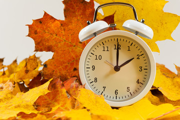 Autumn leaves and alarm clock. Autumn time change.