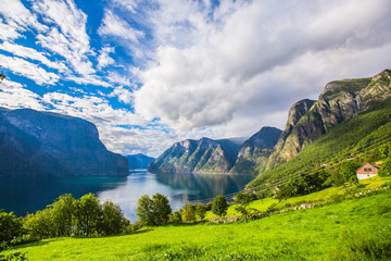 View to Sognefjord in Norway. Small town and cruise port Olden in Norwegian fjords.  Bird view of fjord in Norway.  under a sunny, blue sky, with the typical rorbu houses. View from the top