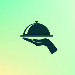 Hot proper meal plate vector icon