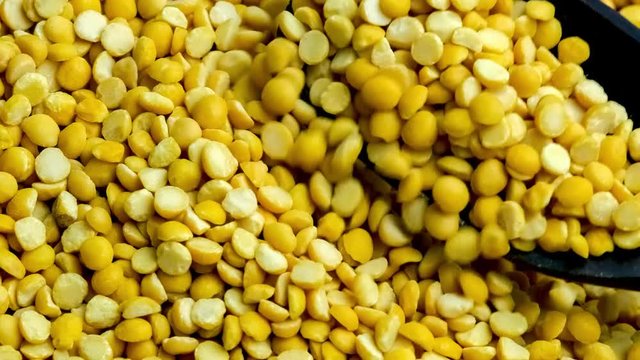 Protein rich yellow lentils scooping up and falling down