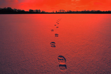 Fresh footprints on bloody snow