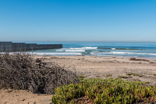 Foliage on Border Field State Park beach with the international border wall separating San Diego, California and Tijuana, Mexico in the distance.