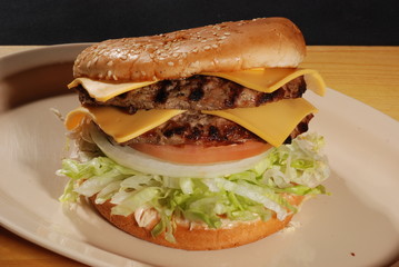 Double double cheeseburger