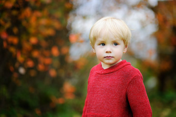 Stylish boy wearing red sweater