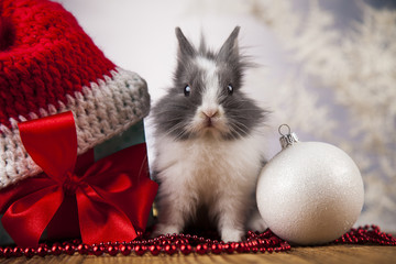 Naklejka premium Funny bunny and Christmas background with winter decoration 