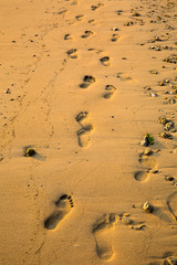 Footprint on the sand