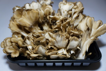 舞茸さん只今パック中 