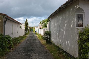Fototapeta na wymiar Ruelle de l'île de Ré.