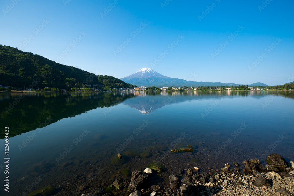 Wall mural mount fuji