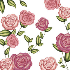 delicate flower drawing  icon image vector illustration design 