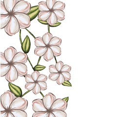 delicate flower drawing  icon image vector illustration design 