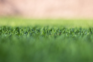 Artificial grass and the sun light as a background