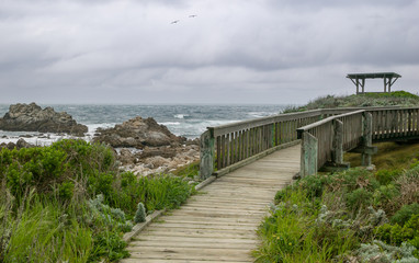 Wooden Walkway