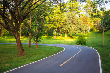 forest road trees along at the country side in thailand