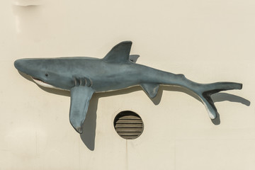Ein Hai an einer Hauswand